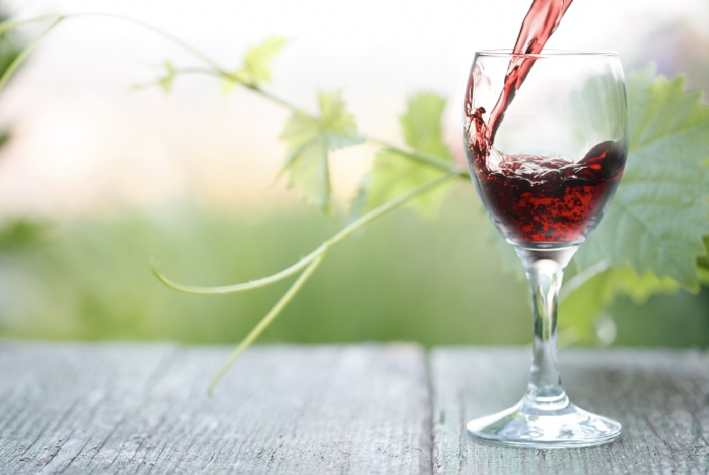 Four Cups of Wine: A Climate and Environmental Justice Haggadah Insert