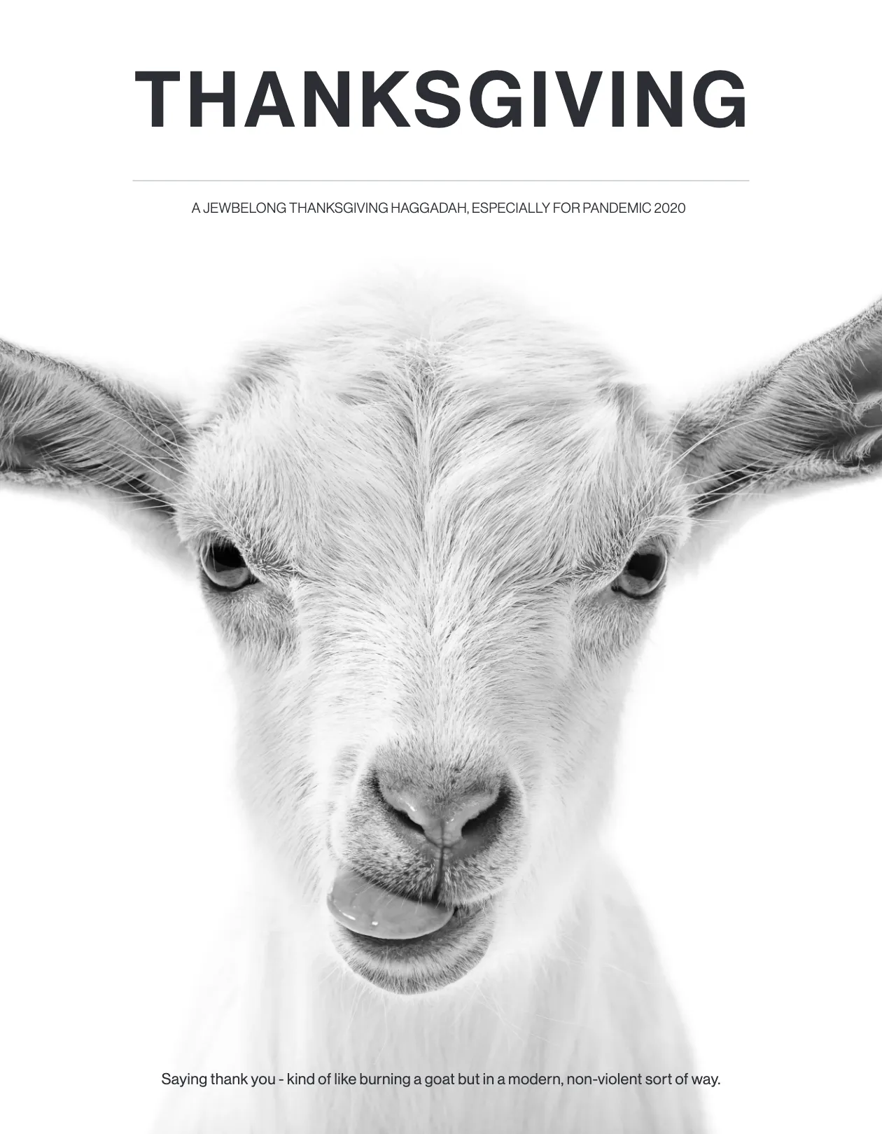 Cover image for JewBelong's Thanksgiving Haggadah