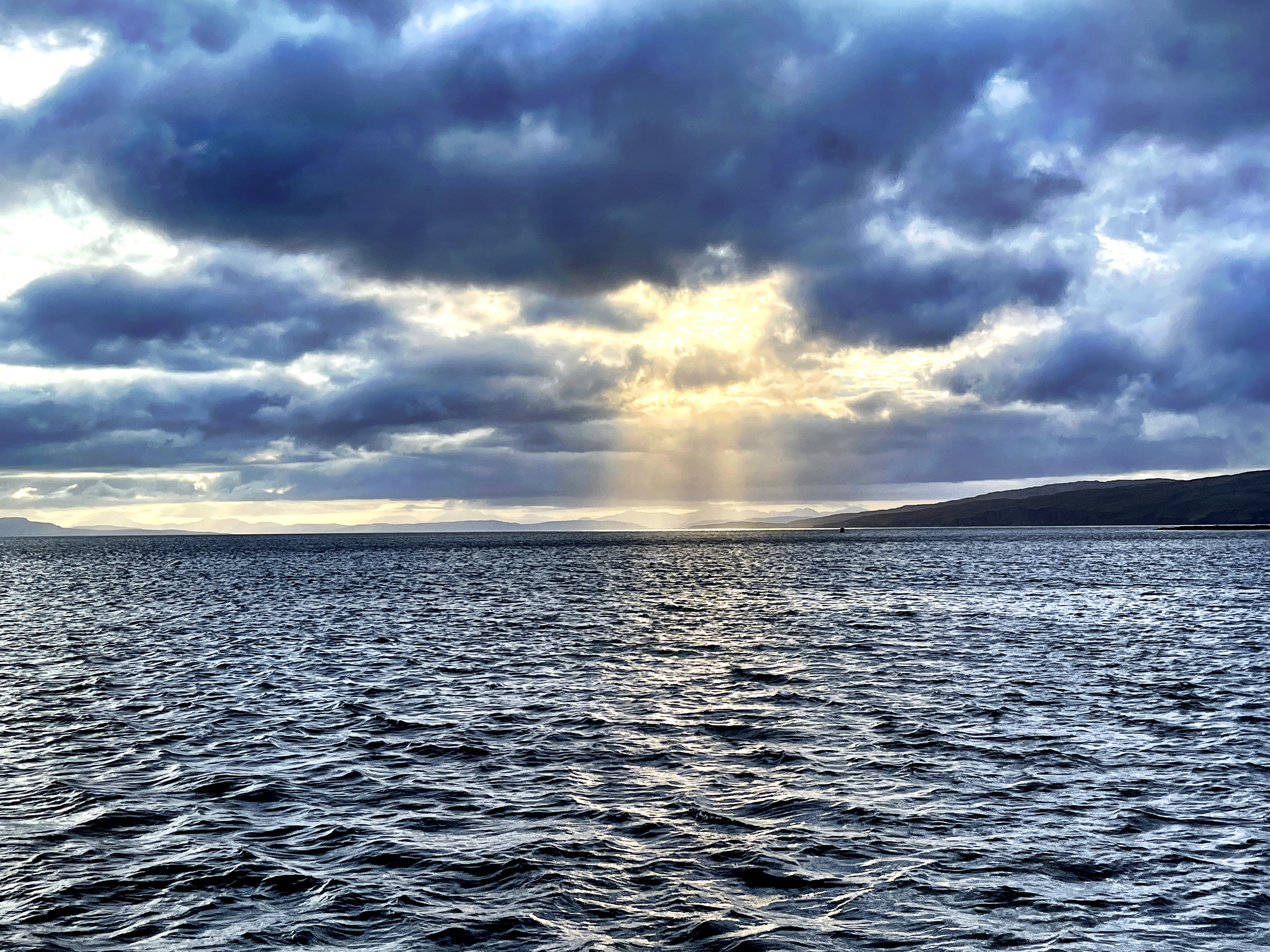 Instead Of: A Prayer for Peace by Trisha Arlin