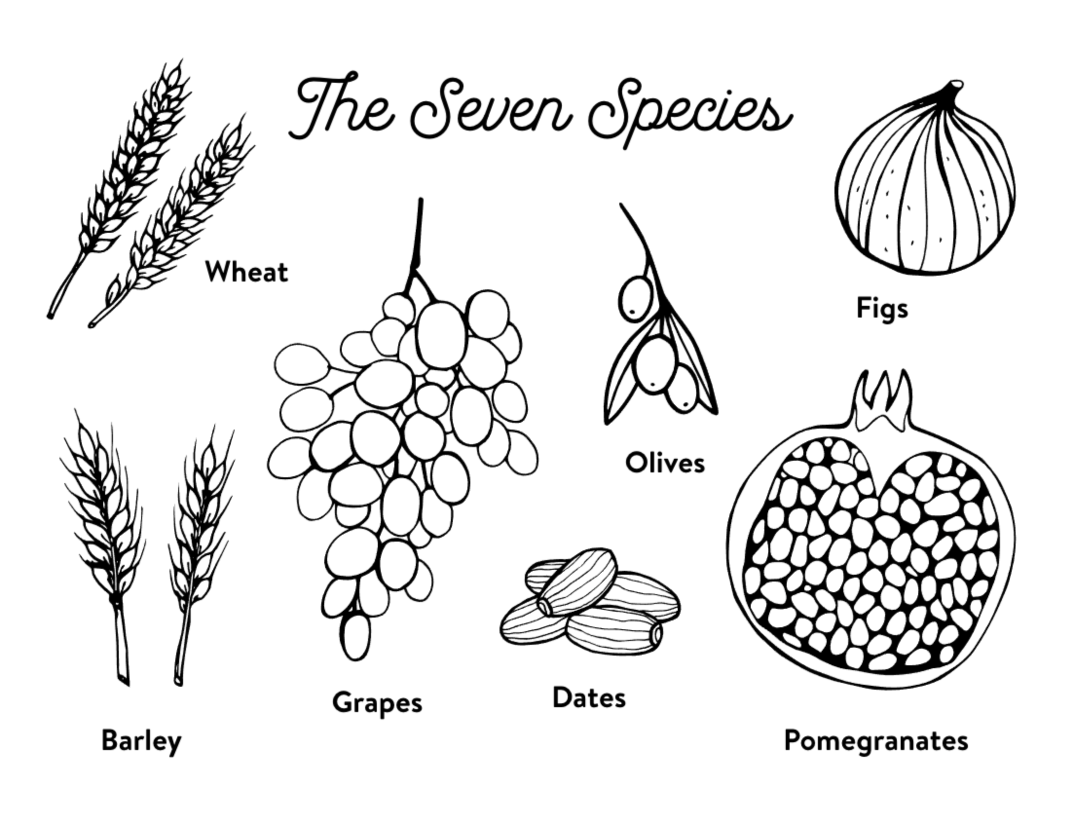 The Seven Spices  