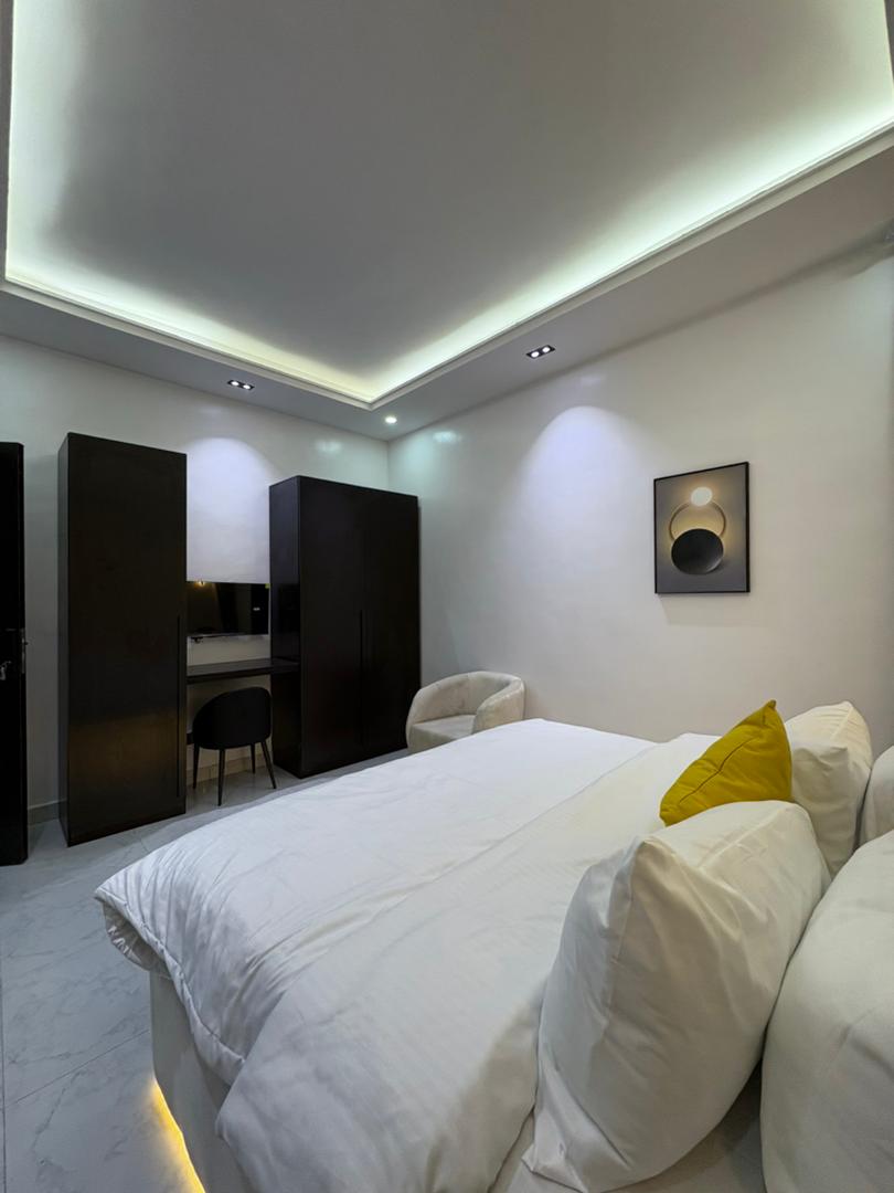 DELIZ PREMIUM 2/3BEDROOM APARTMENT  2