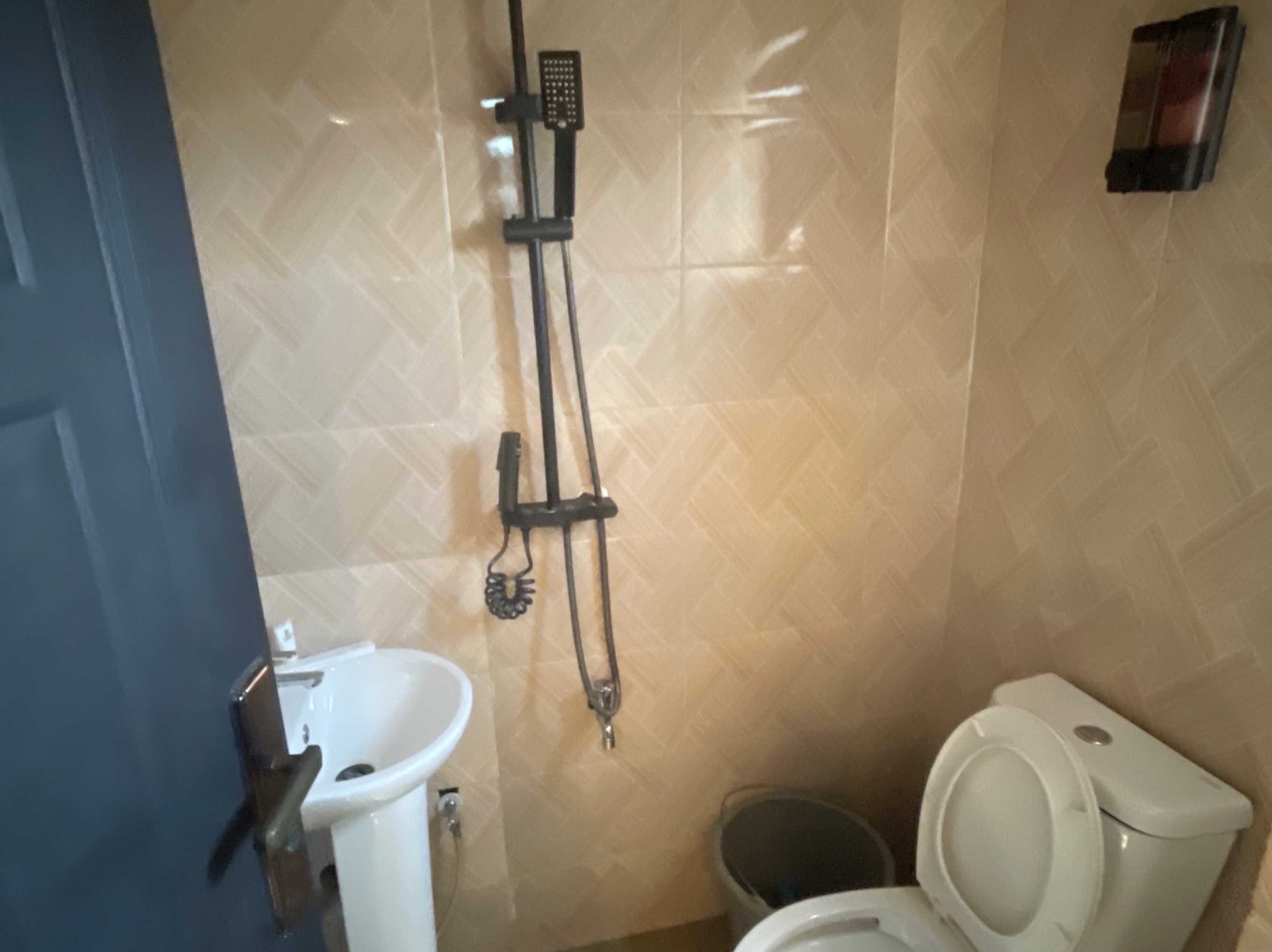 One Bedroom  Apartment  4