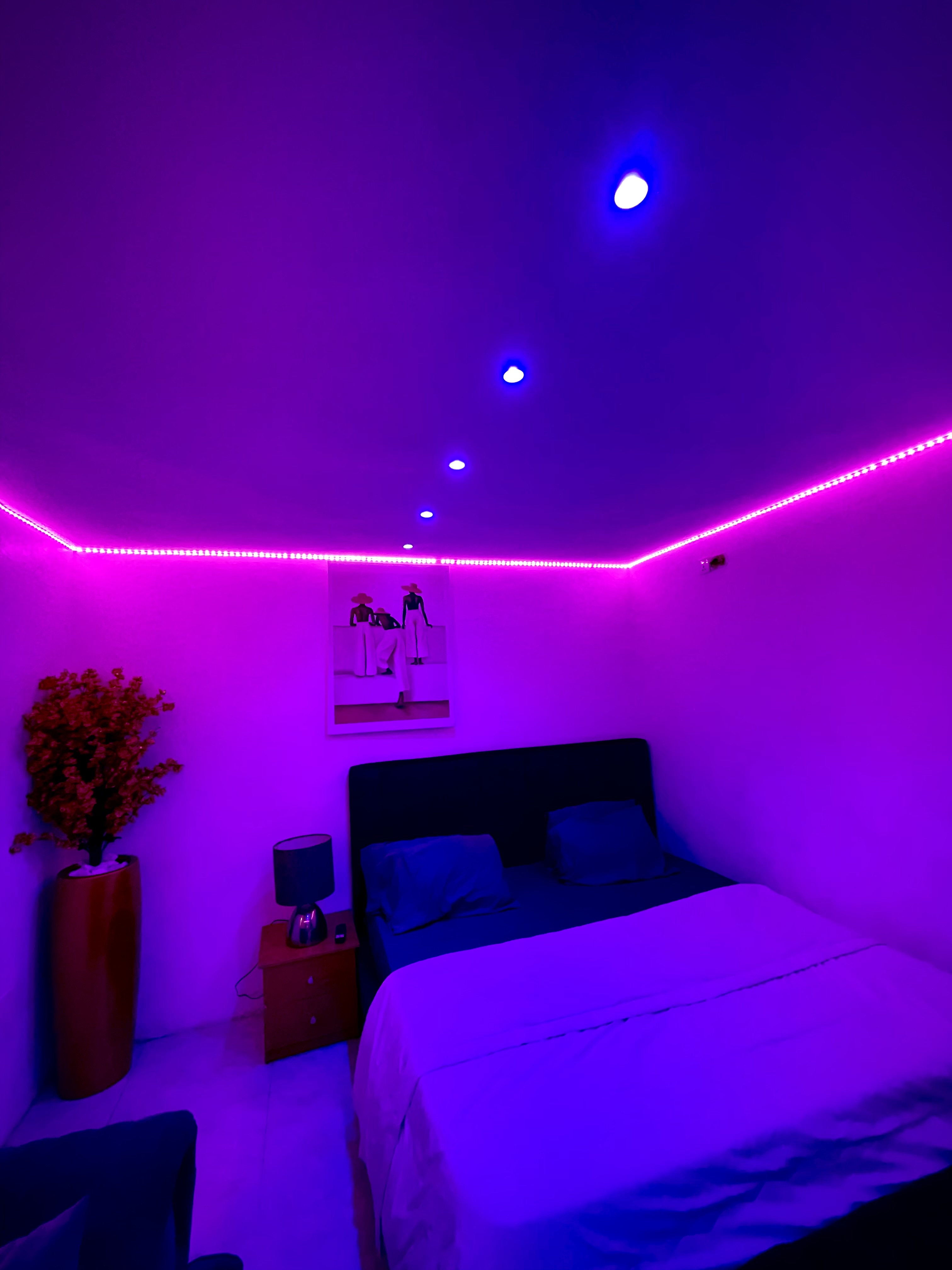 1 Bedroom Apartment 5