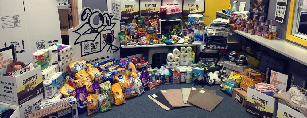 Over 1,100 donated to Anderson Animal Shelter