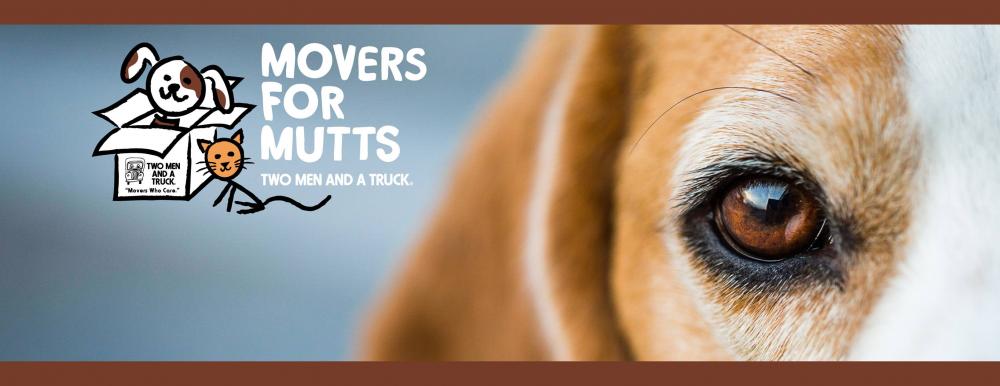 Movers for Mutts in Birmingham, AL for the Greater Birmingham Humane Society