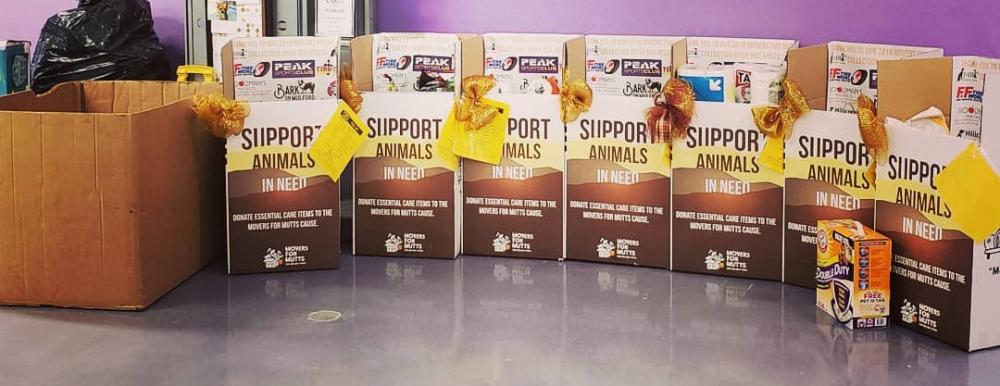 Collection Box Drop Off