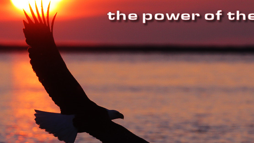 charterwesr cover photo of eagle with sunset background