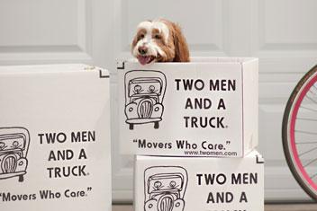 dog-in-two-men-and-a-truck-company-moving-boxes.jpg Thumbnail