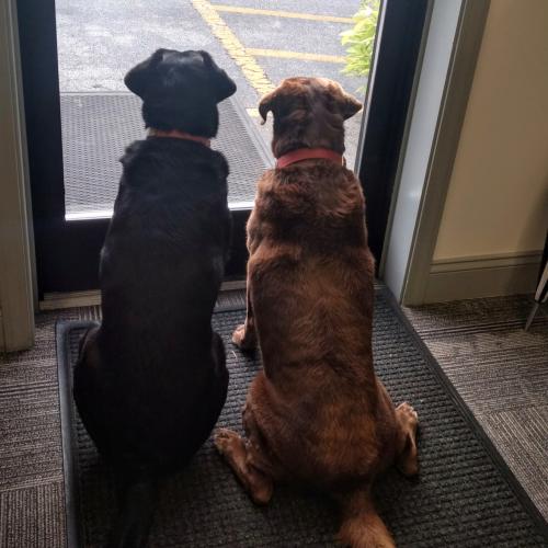 Two Men And A Truck Office Greeters