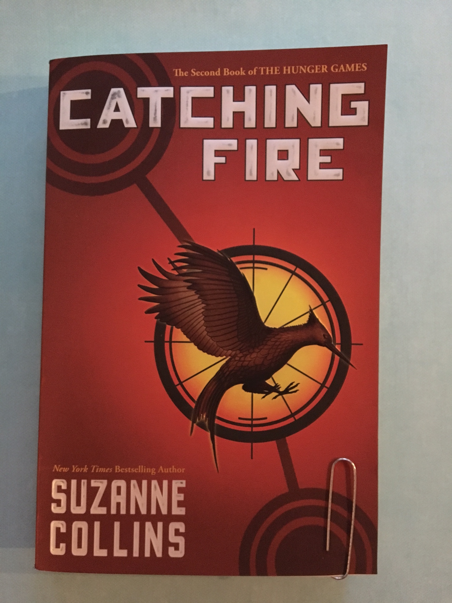 Catching Fire by Susanne Collins