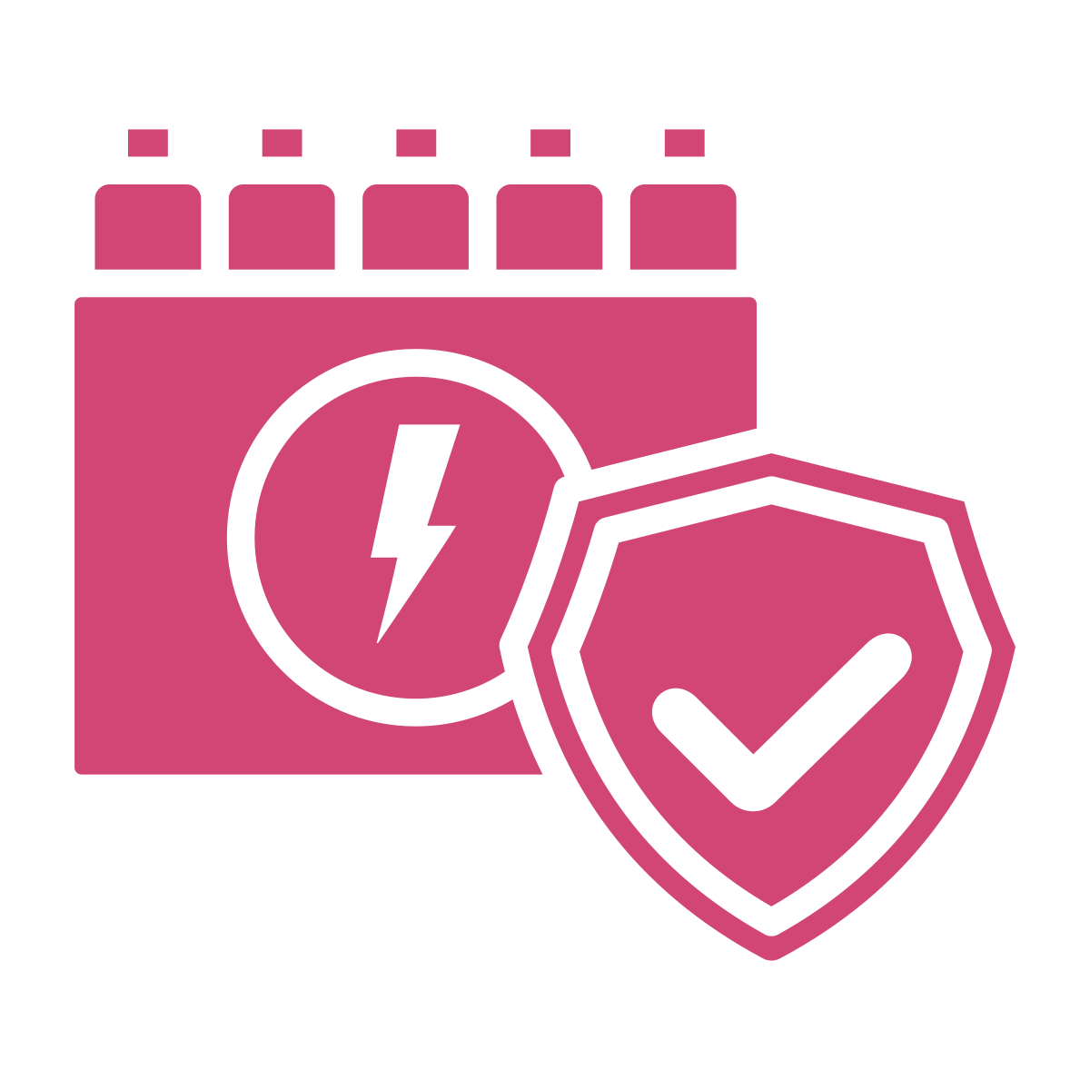 (EV) Battery Warranty