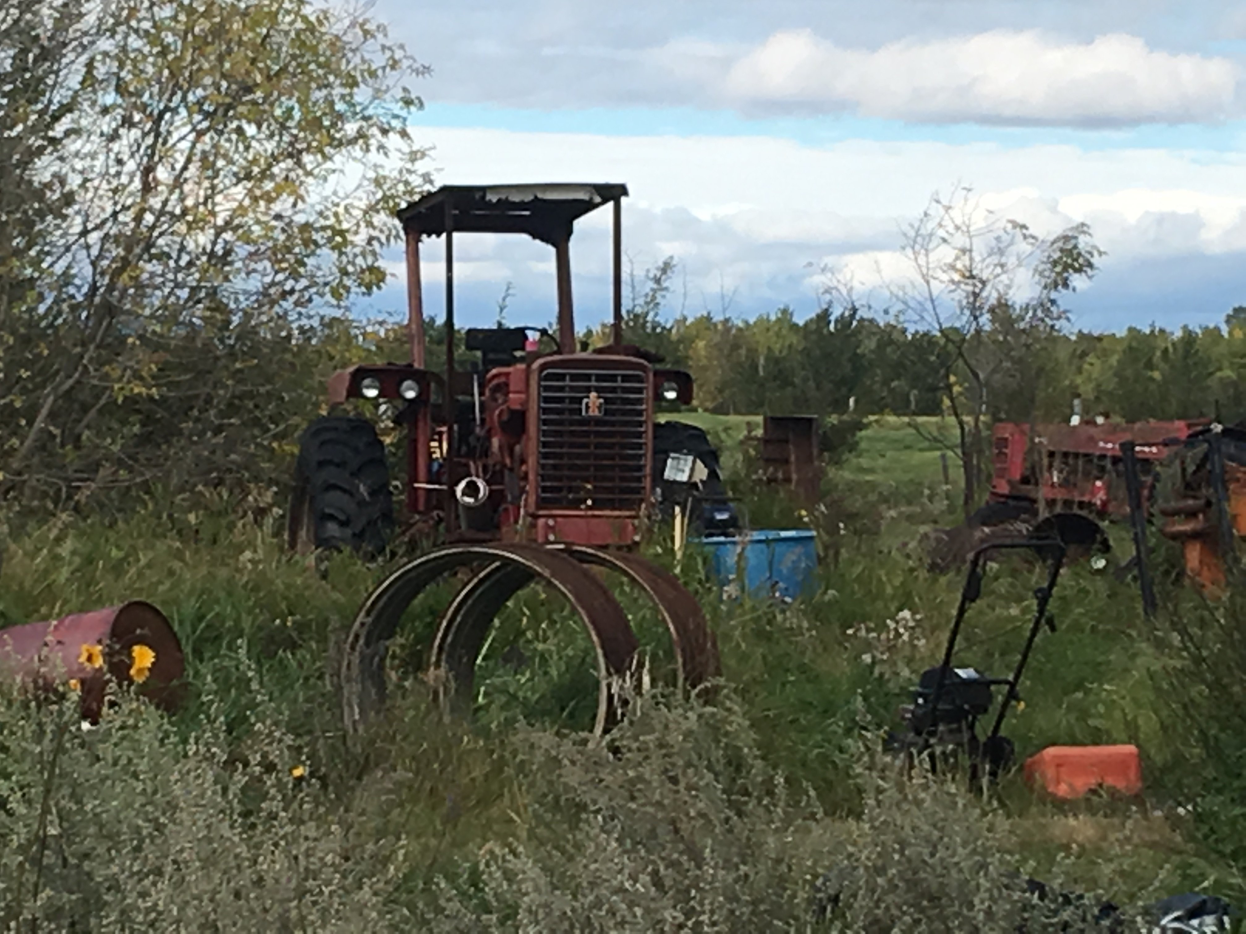 Pictures of auction in Alberta with IH tractors General IH Red