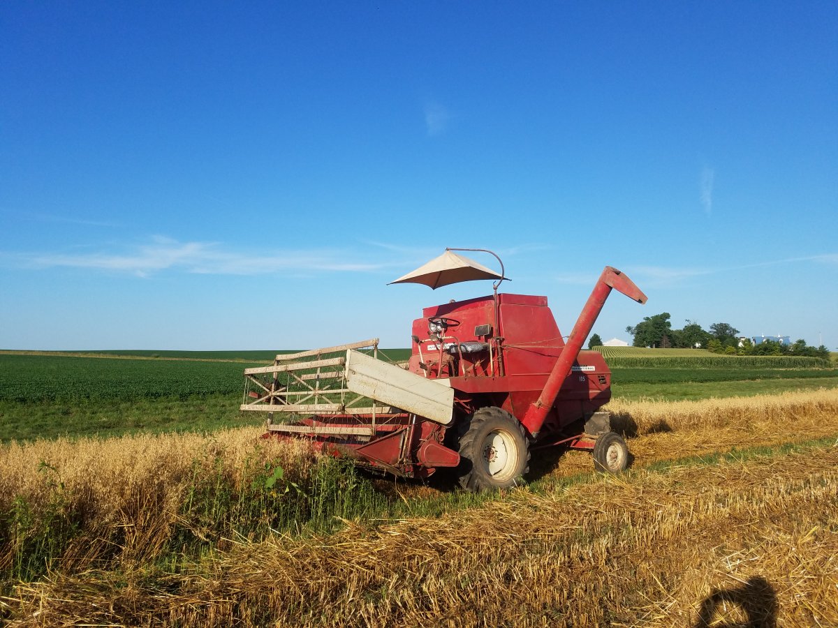 Let's see pics of your ih working this spring - Page 15 - General IH