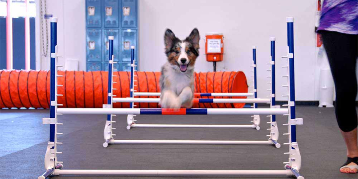 FREE evaluation and $50 OFF your 1st Class Pass offer image