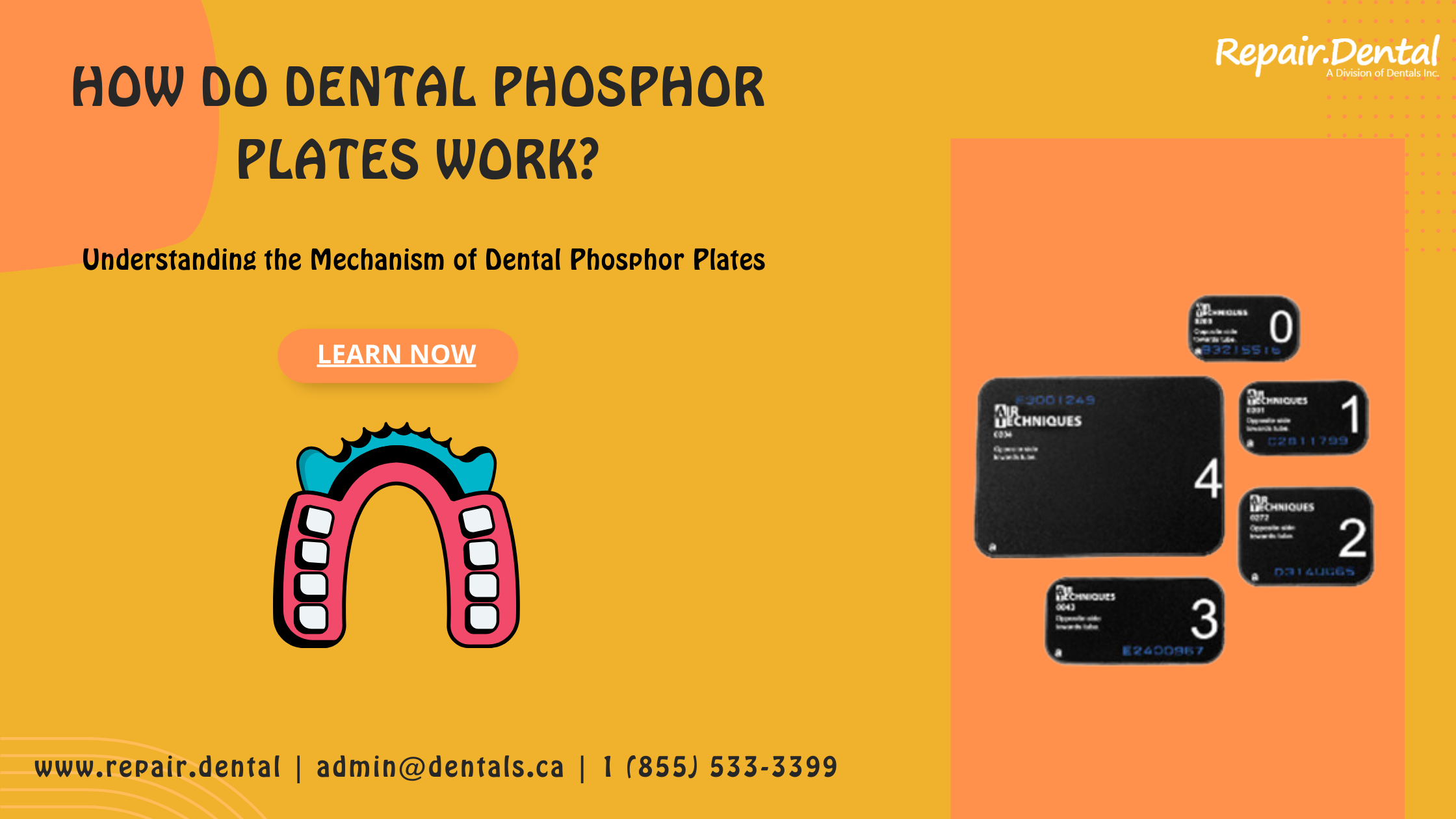 How_Do_Dental_Phosphor_Plates_Work.png