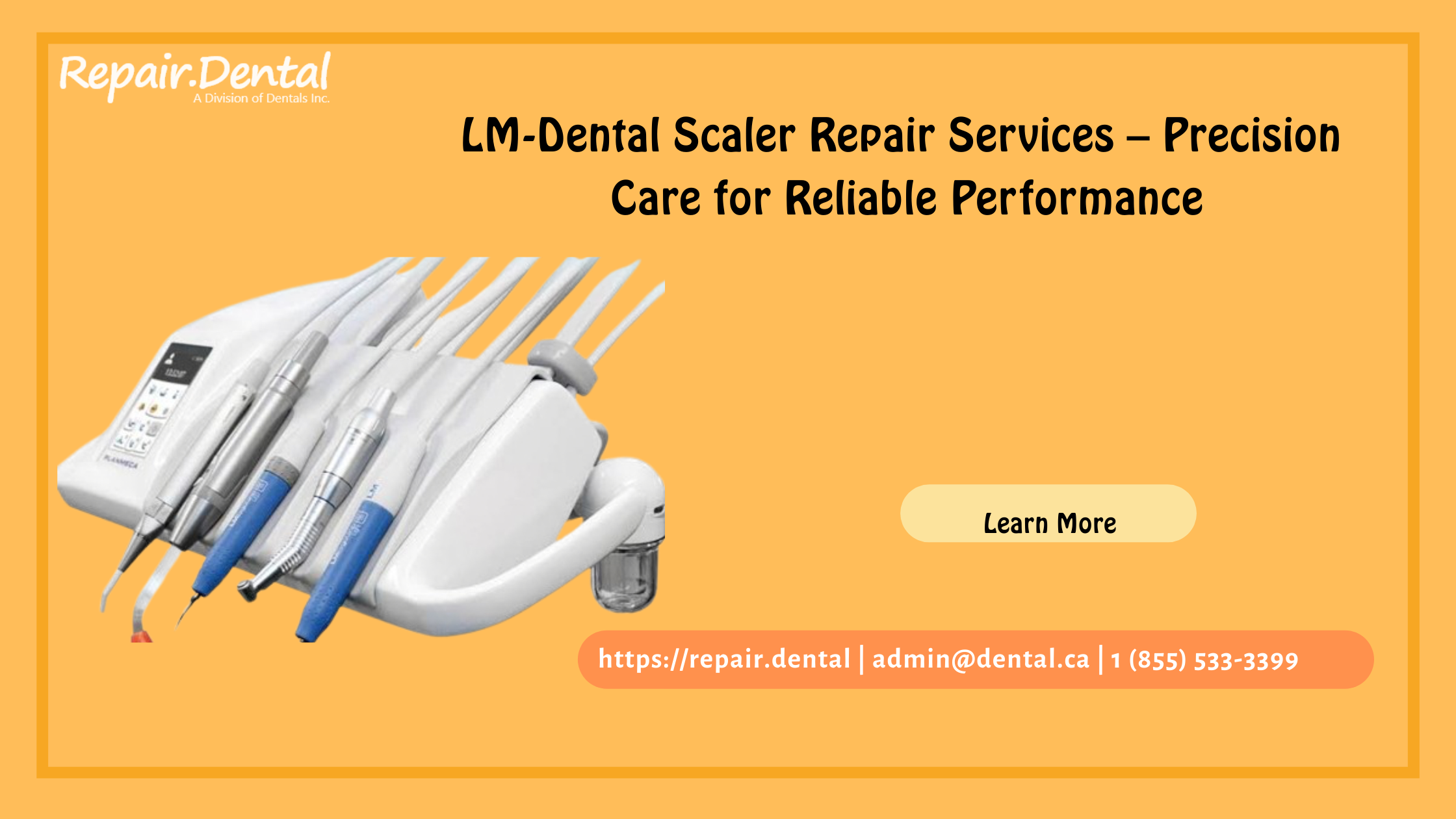 LM_dental.png