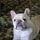 Debi_Oz