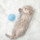 catnapp