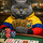 gatocenizo