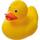 Squeezingduck