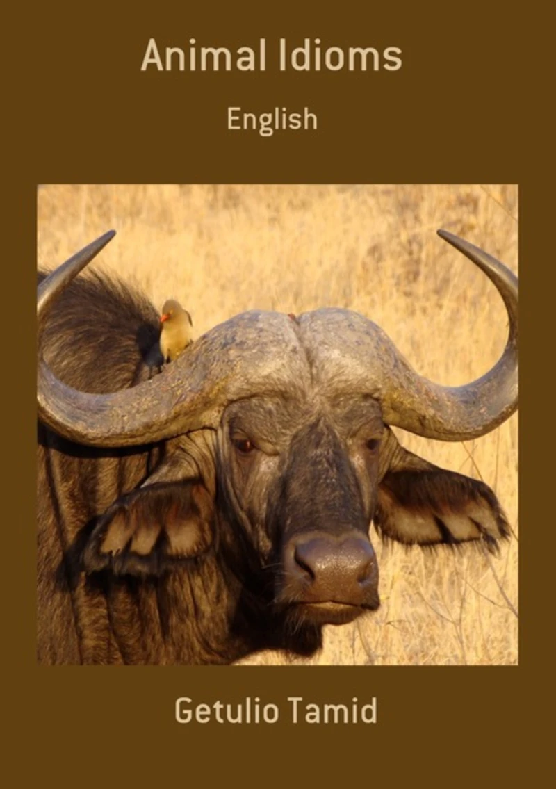 Portada: Animal Idioms