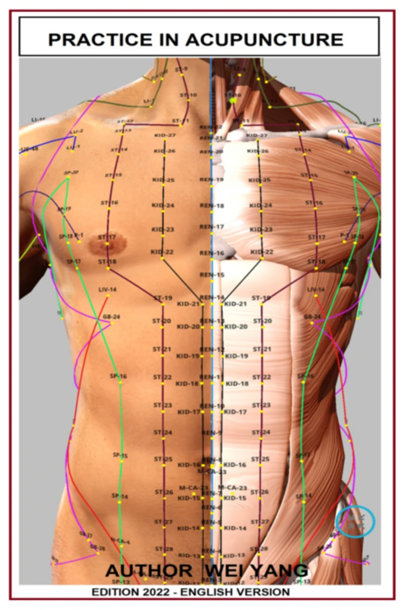 Portada: Practic In Acupuncture