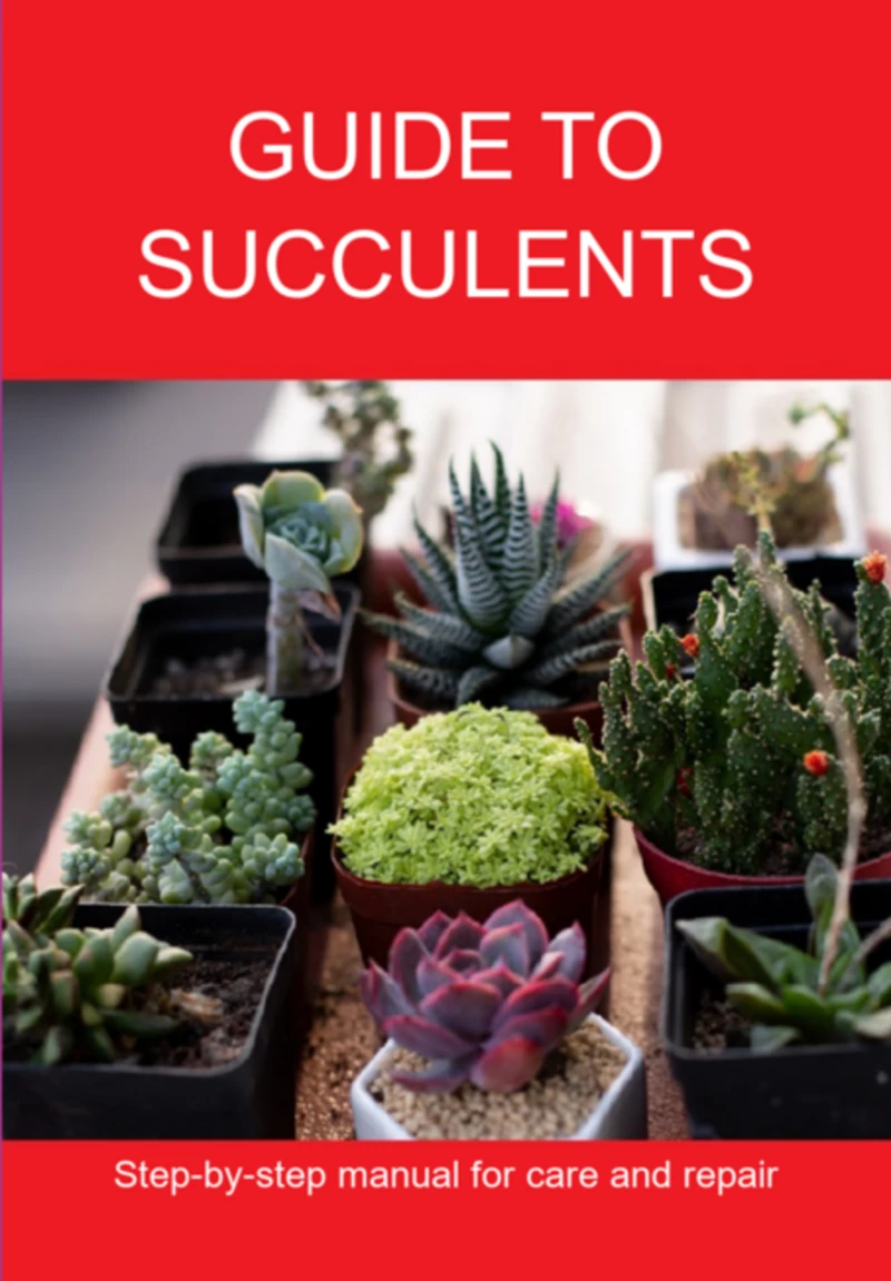 Portada: Guide To Succulents