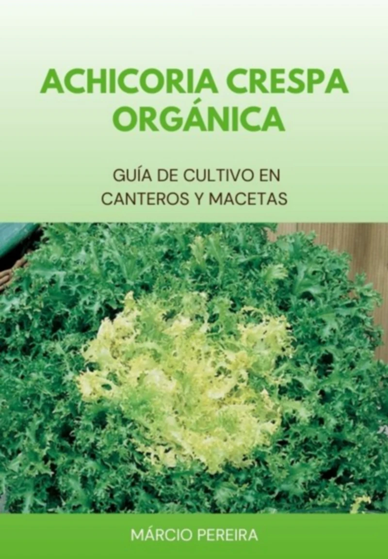 Portada: Achicoria Crespa Orgánica