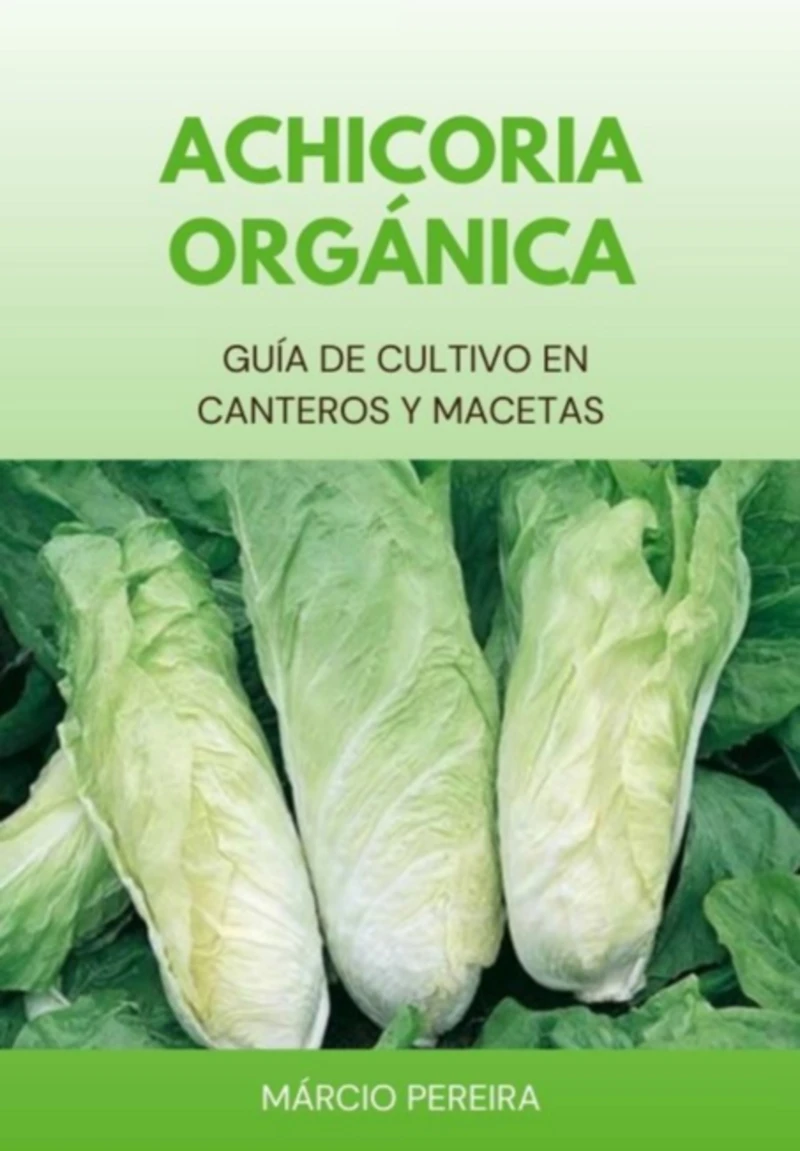 Portada: Achicoria Orgánica