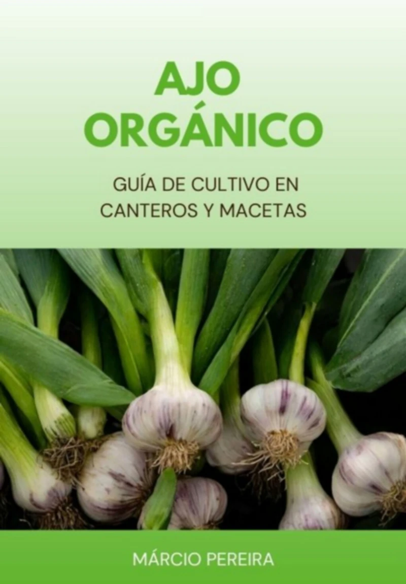 Portada: Ajo Orgánico