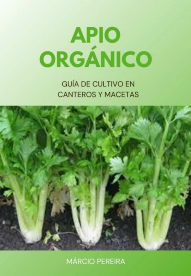 Portada: Apio Orgánico
