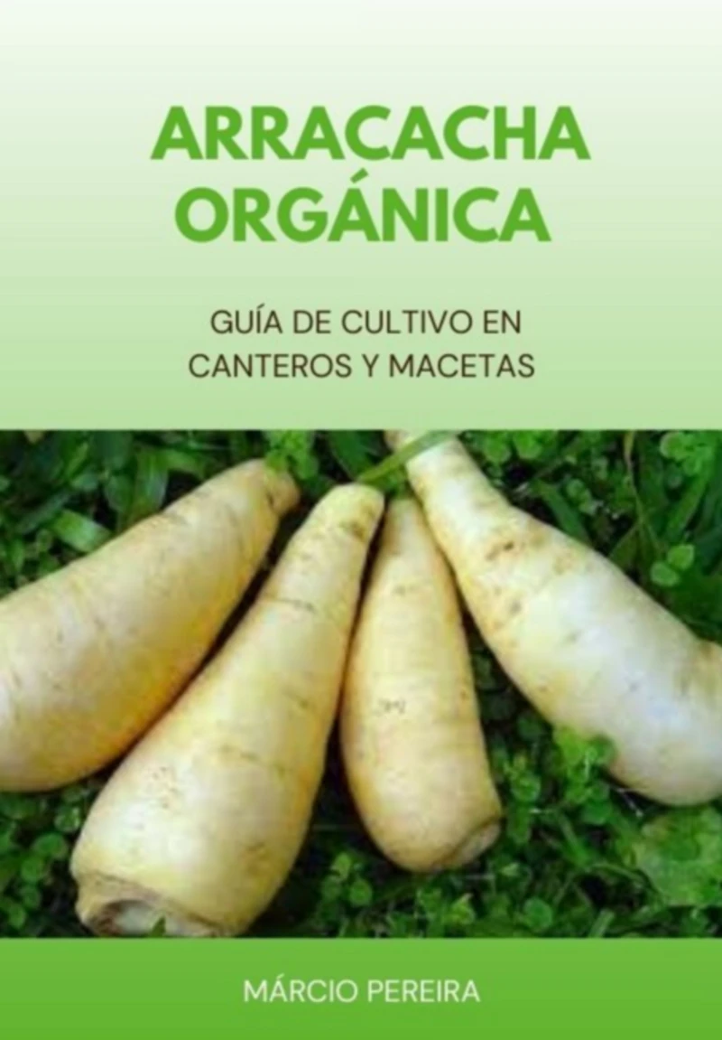 Portada: Arracacha Orgánica