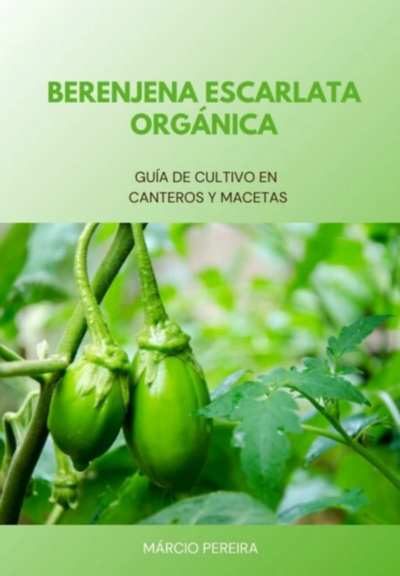 Portada: Berenjena Escarlata Orgánica