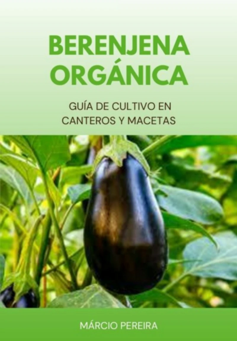 Portada: Berenjena Orgánica