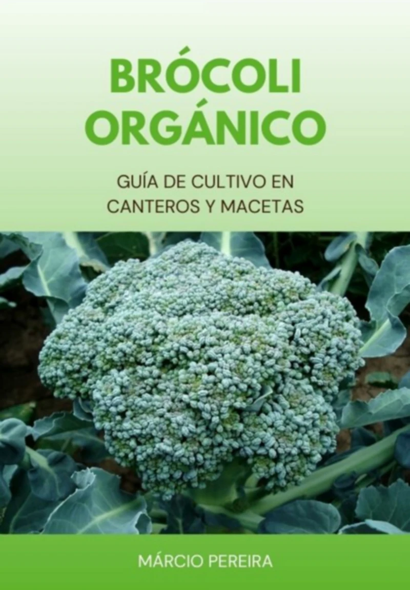 Portada: Brócoli Orgánico