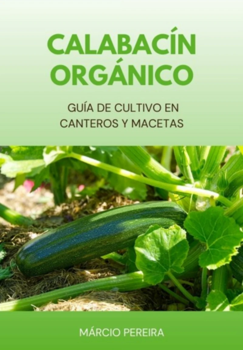 Portada: Calabacín Orgánico
