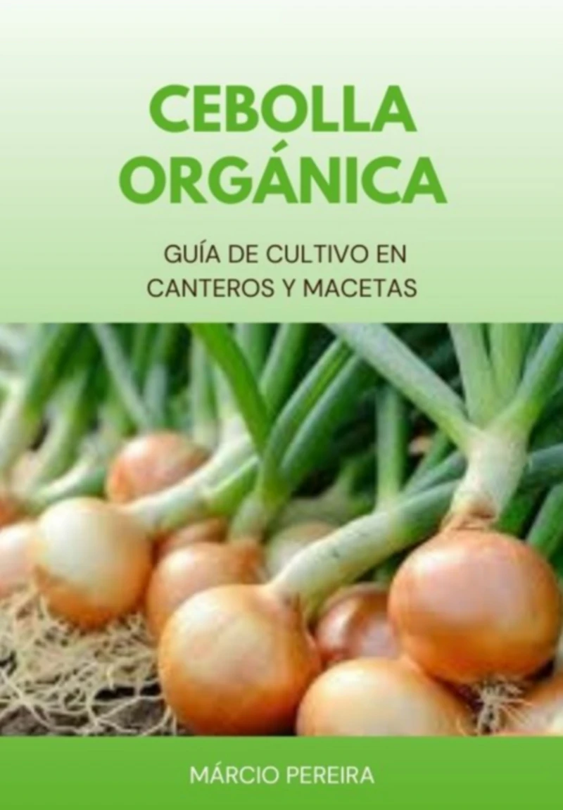 Portada: Cebolla Orgánica