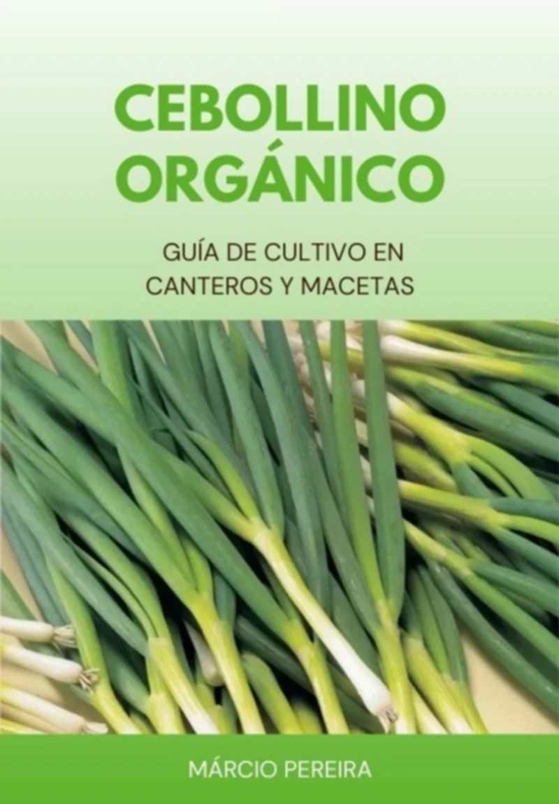 Portada: Cebollino Orgánico