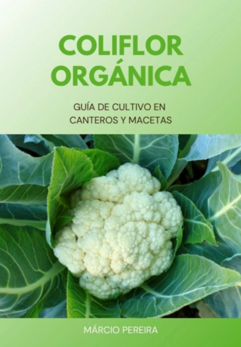 Portada: Coliflor Orgánica