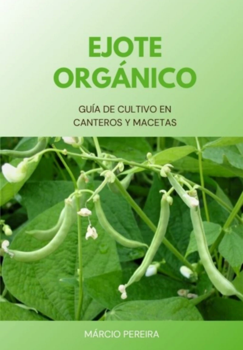 Portada: Ejote Orgánico