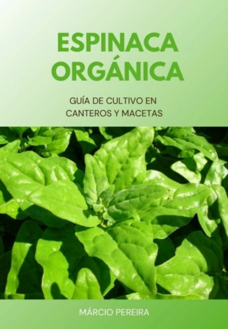 Portada: Espinaca Orgánica