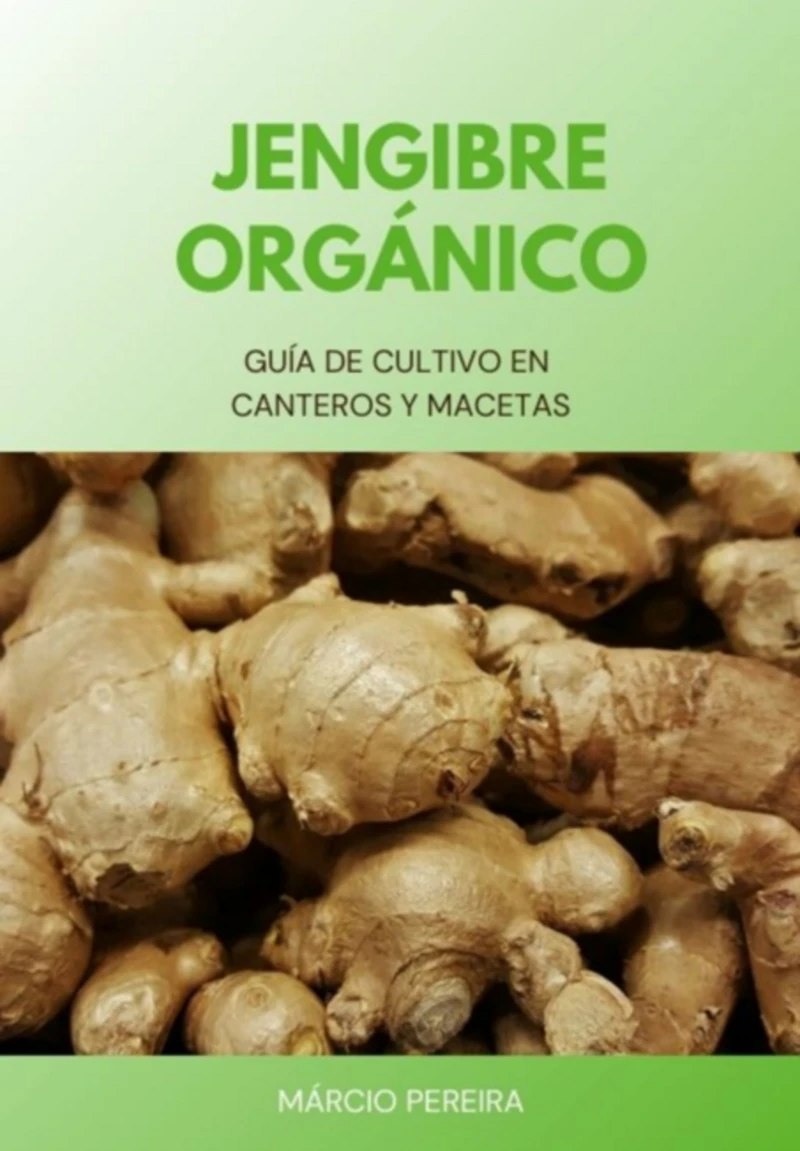 Portada: Jengibre Orgánico