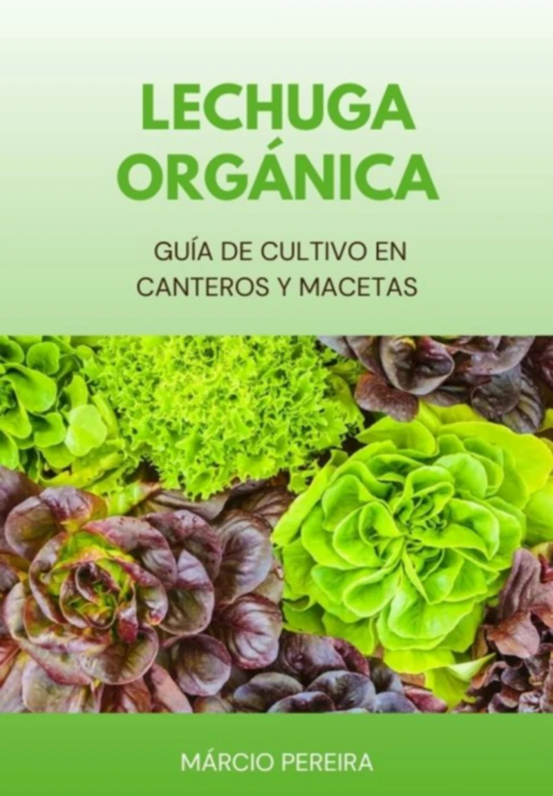 Portada: Lechuga Orgánica