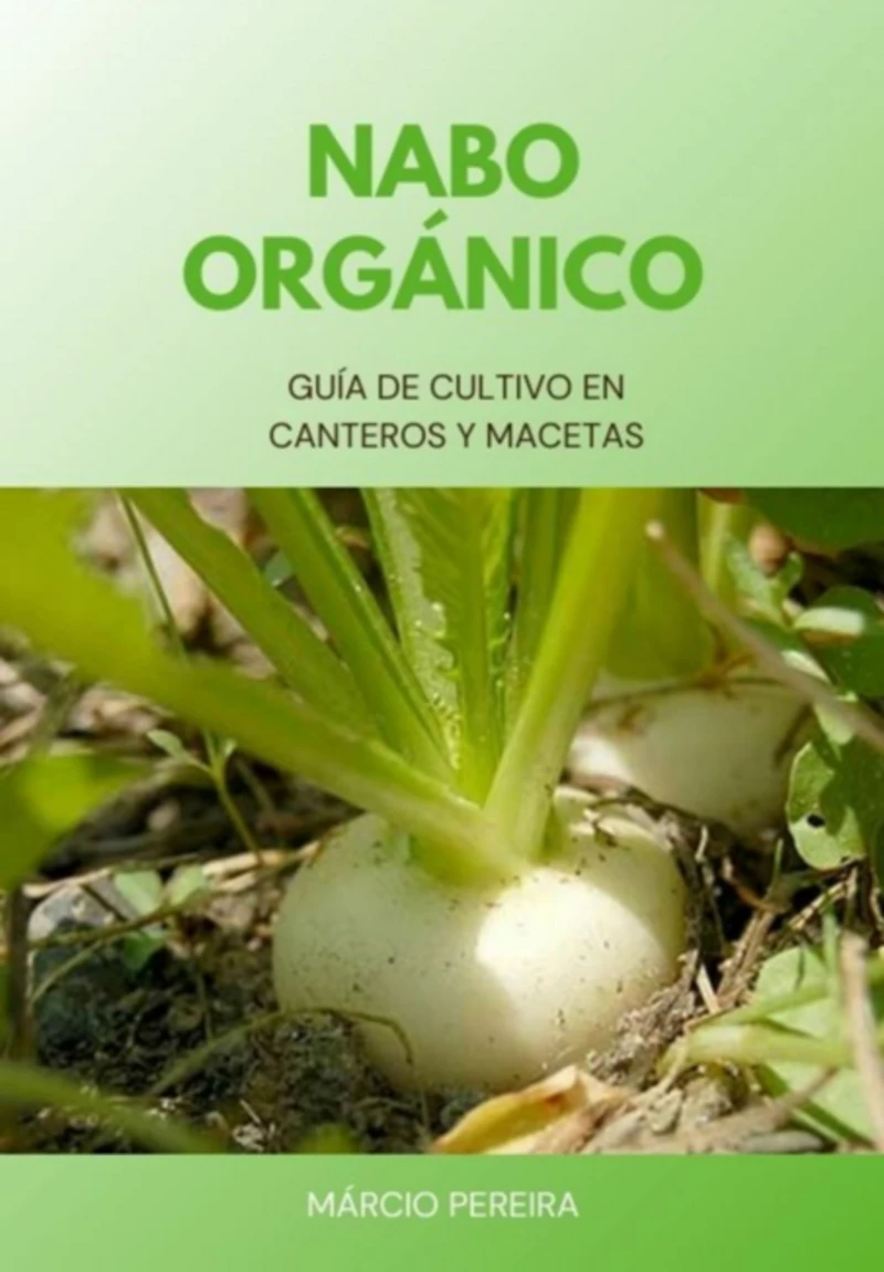 Portada: Nabo Orgánico