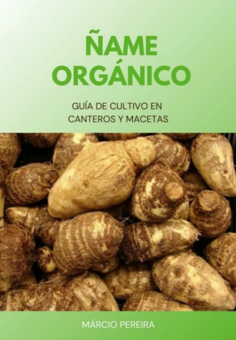 Portada: Ñame Orgánico