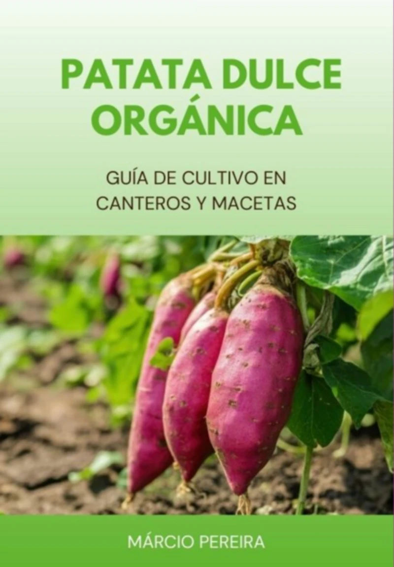 Portada: Patata Dulce Orgánica