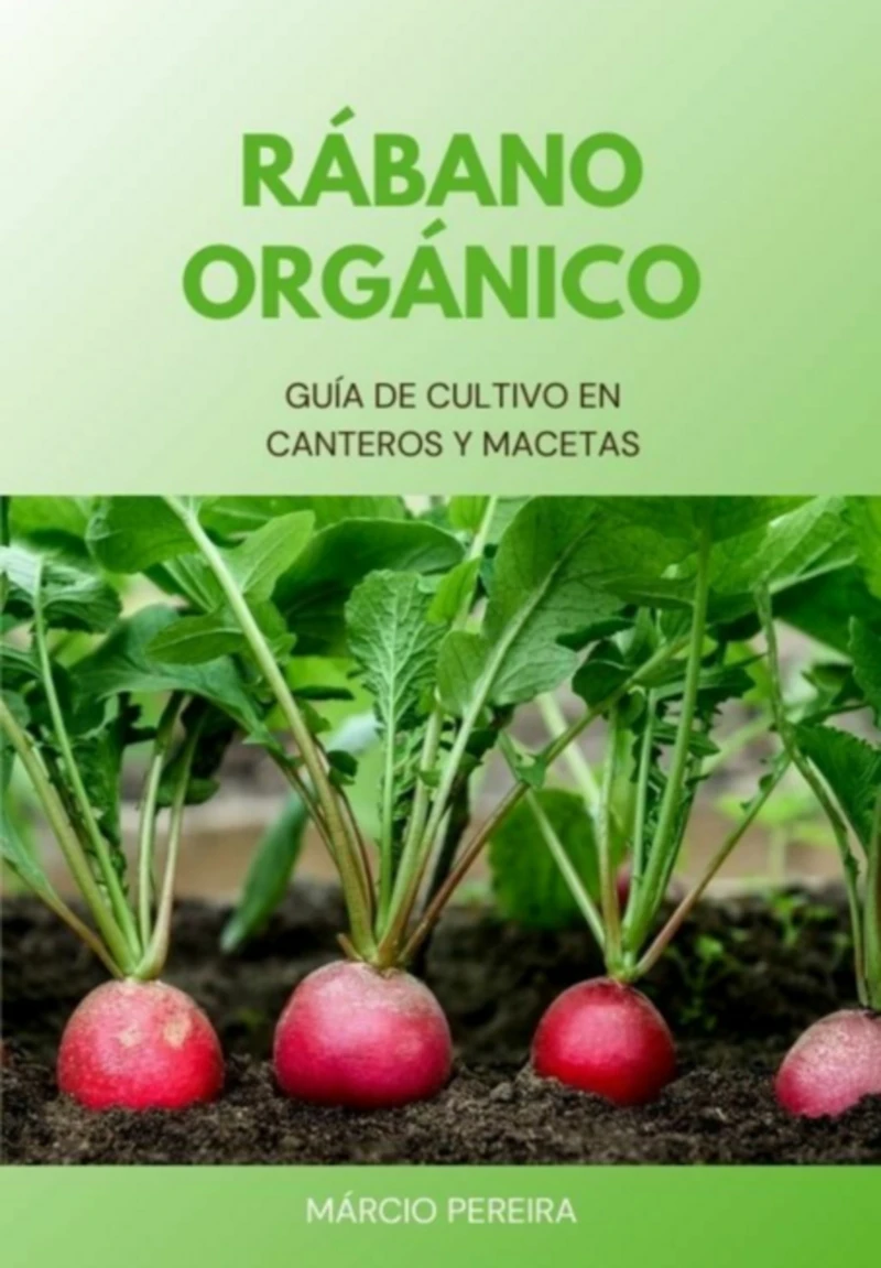Portada: Rábano Orgánico