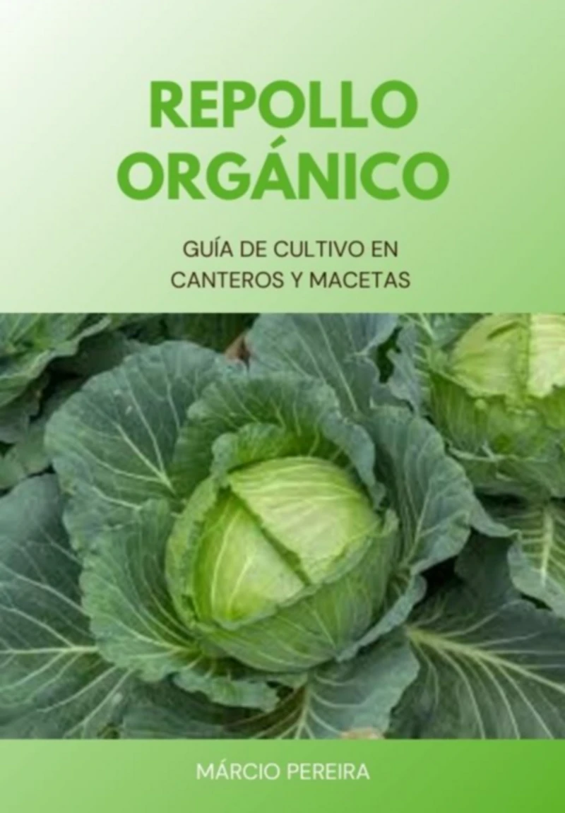 Portada: Repollo Orgánico