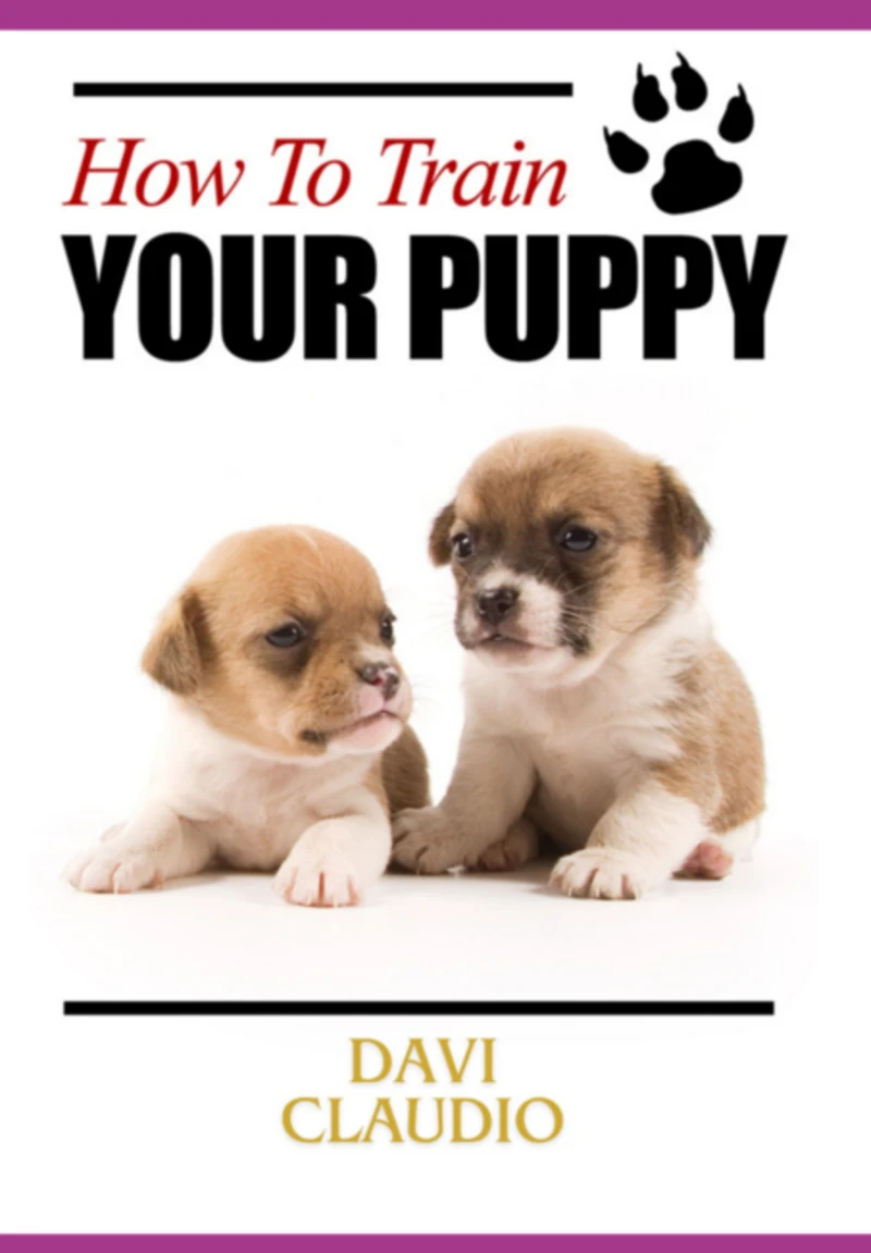 Portada: How To Train Your Puppy