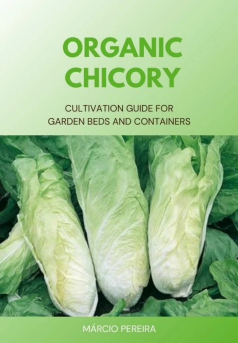Portada: Organic Chicory